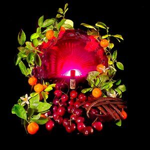 Solstice Scents CHERRY VANILLA AMBEROSIA PERFUME OIL 5 ml